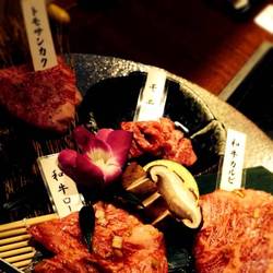 徳寿しんら亭 地図 写真 札幌すすきの 焼肉 ぐるなび 徳寿しんら亭 地図 写真 札幌すすきの 焼肉 ぐるなび
