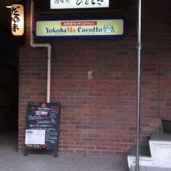 YokohaMa‐Cocotto 