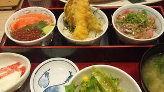 三種類のミニ丼セット