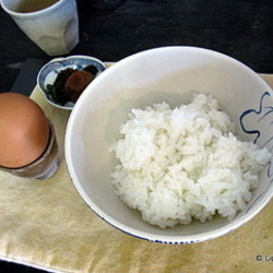 静かな向かい風 たまごかけご飯や 地図 写真 姫路 創作和食 ぐるなび