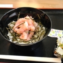 地魚工房（地図/写真/新潟市中央区/食事処） - ぐるなび