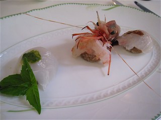 若狭湾赤甘鯛　アカザエビ　烏賊のカルパッチョ