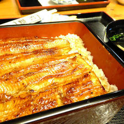 うなぎが美味しいお店 山形県でおすすめしたい人気のお店 ぐるなび うなぎが美味しいお店 山形県でおすすめしたい人気のお店 ぐるなび