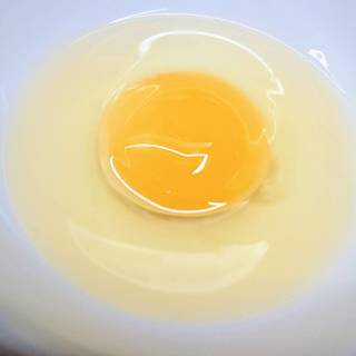 生卵