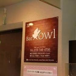 Bar Owl 