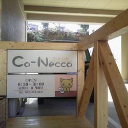 Co-Necco