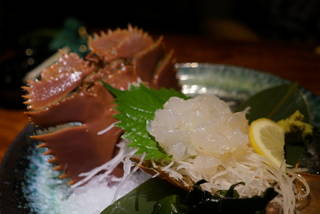 うちわ海老　お刺身