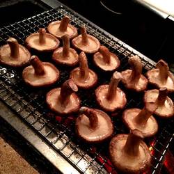 どんこしいたけ