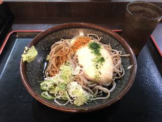 冷やしとろろそば