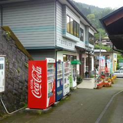 道の駅大杉 