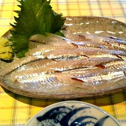 炭火焼じんじん 地図 写真 朝霞 ジンギスカン ぐるなび 炭火焼じんじん 地図 写真 朝霞 ジンギスカン ぐるなび