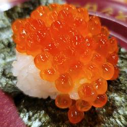 21年 最新グルメ 新木場 葛西臨海公園にある寿司が楽しめるお店 レストラン カフェ 居酒屋のネット予約 東京版 21年 最新グルメ 新木場 葛西臨海公園にある寿司が楽しめるお店 レストラン カフェ 居酒屋のネット予約 東京版