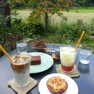 ホエードリンク