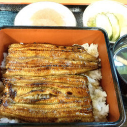 うなぎ福竹 地図 写真 木更津 うなぎ ぐるなび