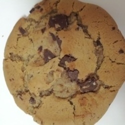 クッキー　ダークチョコレートチャンク