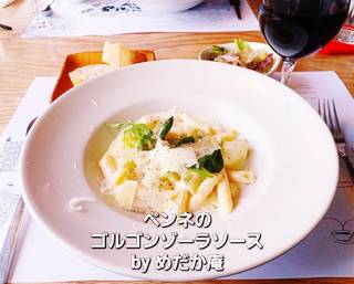 ペンネのゴルゴンゾーラソース