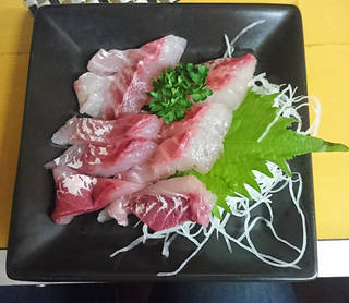 黒鯛（チヌ）の刺身