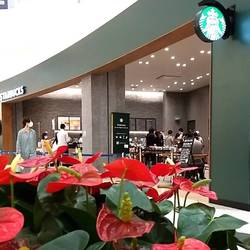 スターバックスコーヒー アリオ西新井店 地図 写真 西新井 カフェ ぐるなび スターバックスコーヒー アリオ西新井店 地図 写真 西新井 カフェ ぐるなび