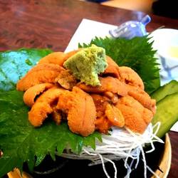 NO.5 うにきよ うに清 - （神奈川県）の詳細情報 ｜ ことりっぷ