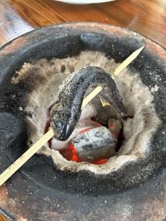 黒毛和牛・若鶏コース