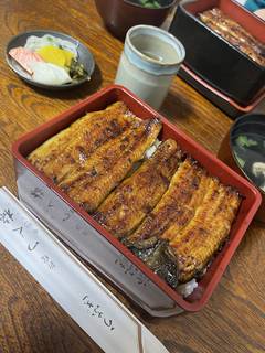 鰻の上