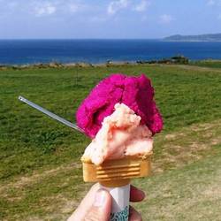 ミルミル本舗 本店 地図 写真 石垣島 西表島 与那国島 スイーツ ぐるなび