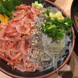 駿河湾 沼津海いち Bivi沼津店 地図 写真 沼津 海鮮 海鮮料理 ぐるなび 駿河湾 沼津海いち Bivi沼津店 地図 写真 沼津 海鮮 海鮮料理 ぐるなび